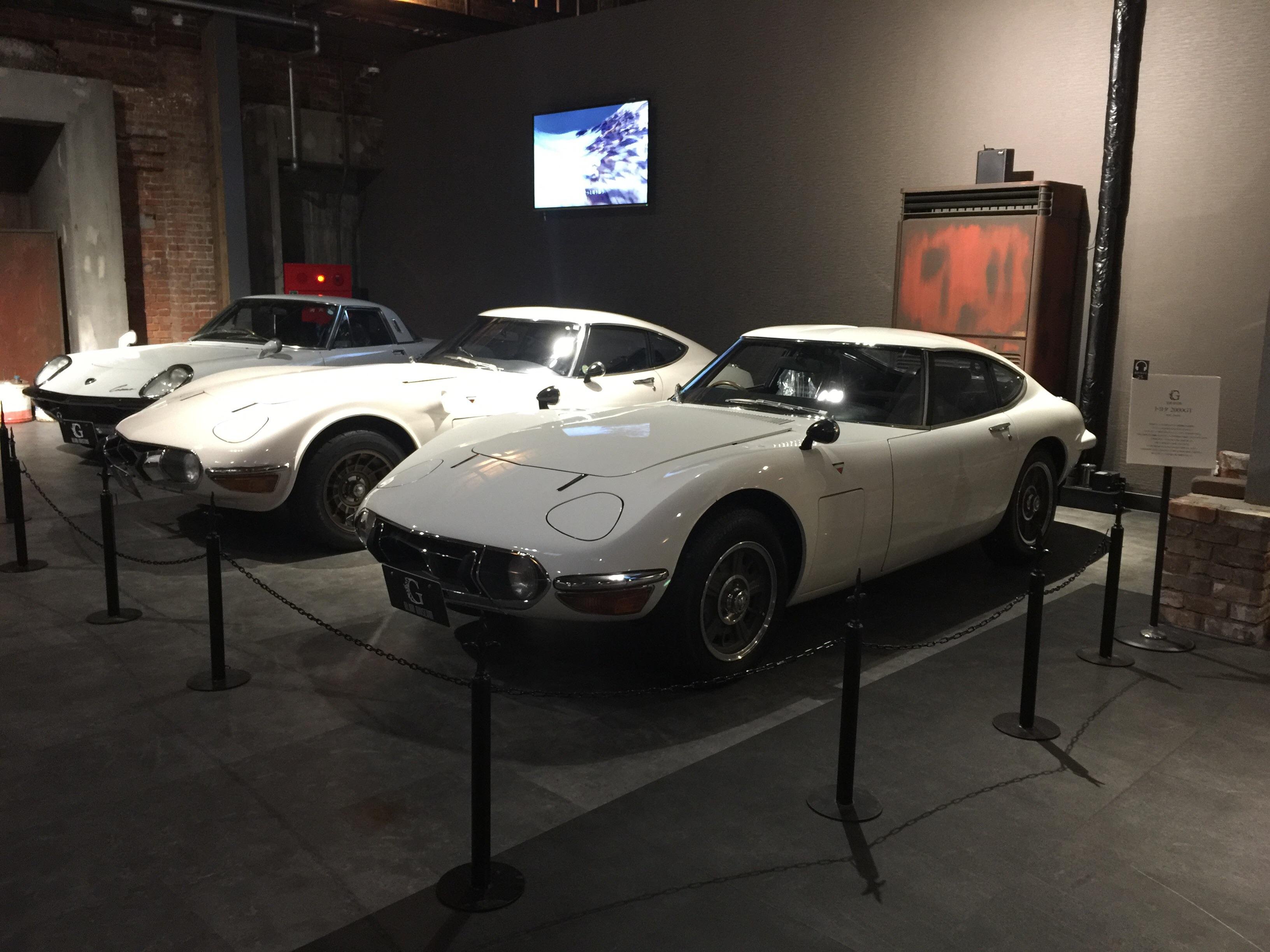 🏛️ 지라이온 박물관(지라이온 뮤지아무) 이미지 7